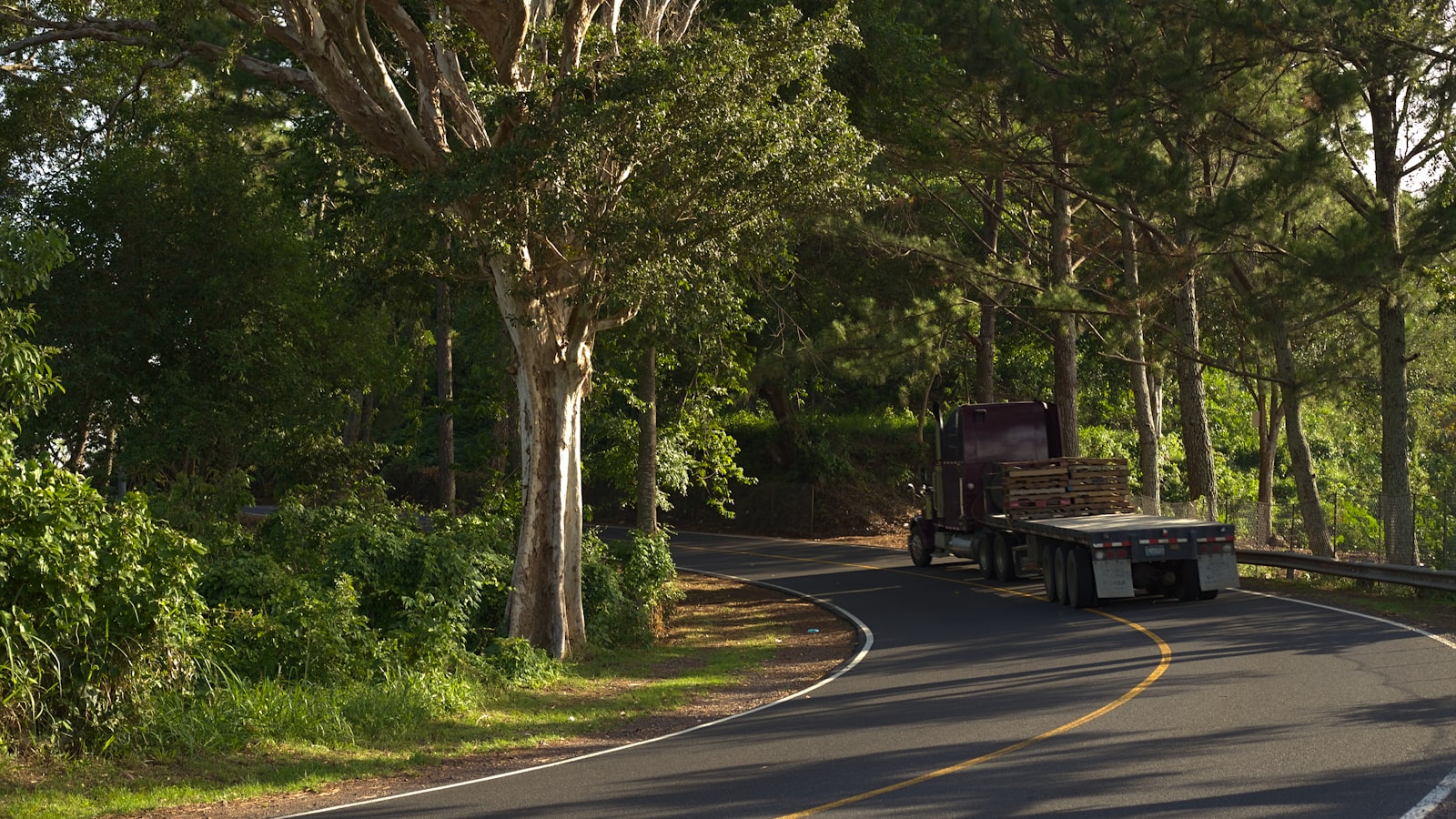 Foto · camion da esame